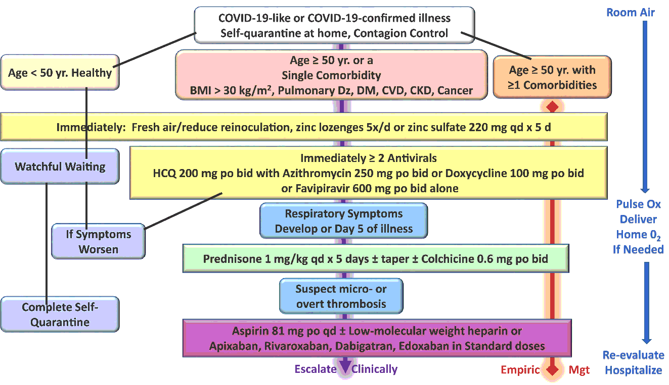 HCQ Early Treatment Flow Chart.gif
